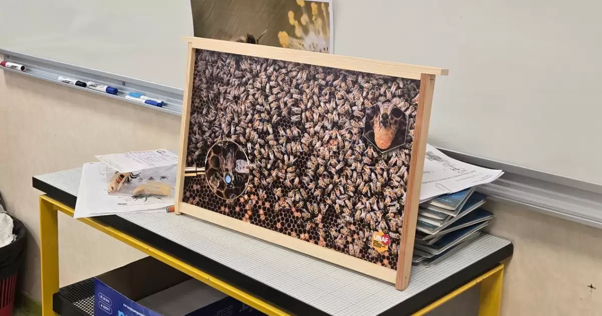 Une ruche en tournée dans votre Ville des Clayes-sous-Bois ! 